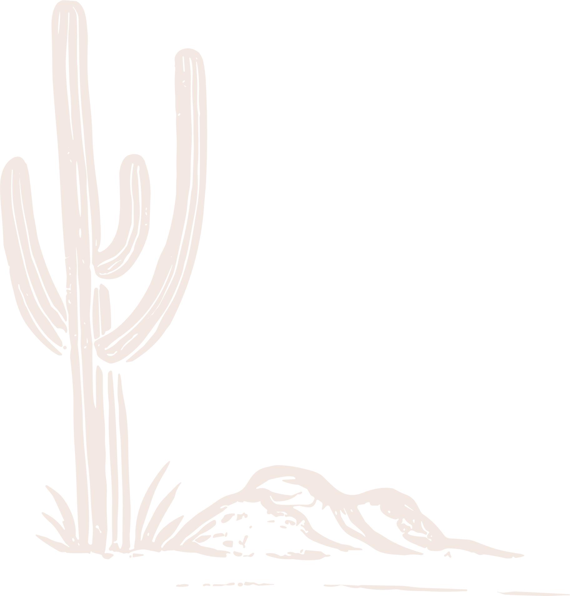 Cream cactus illustration