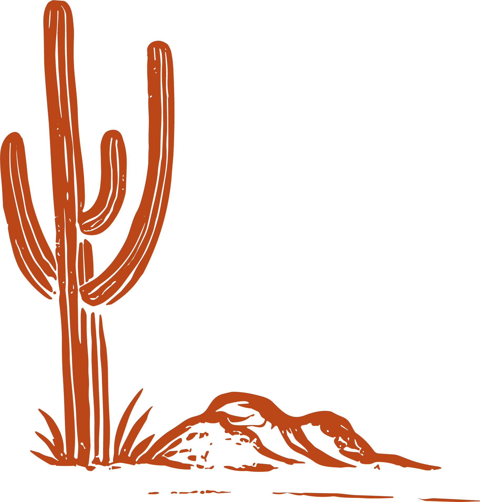 Orange cactus illustration