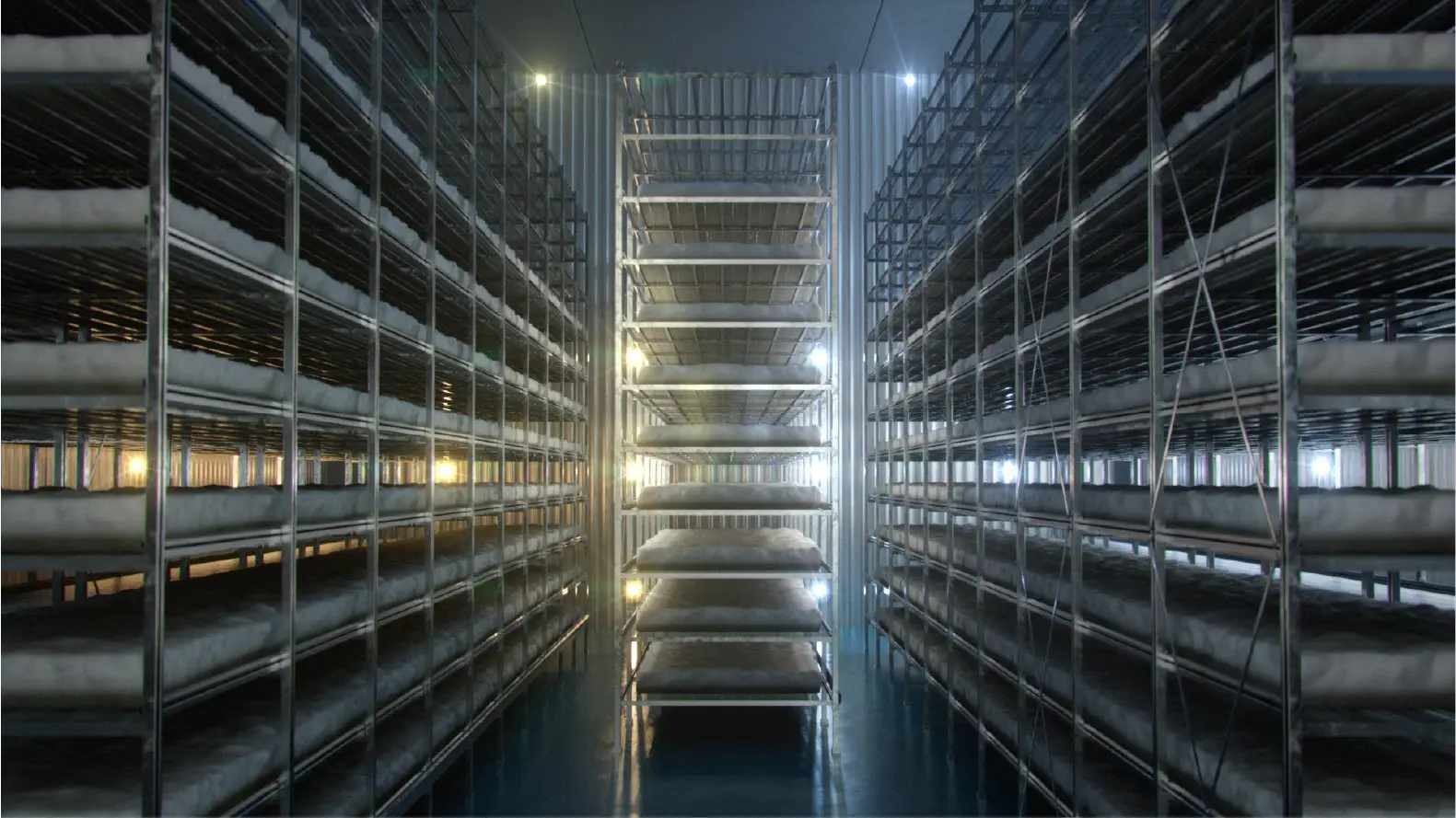 MyForest Foods vertical farm