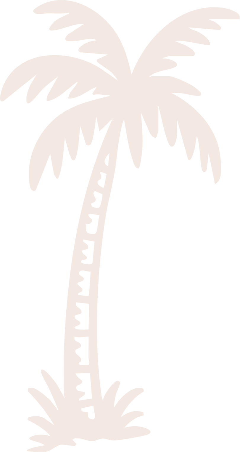 Cream palm tree illustration