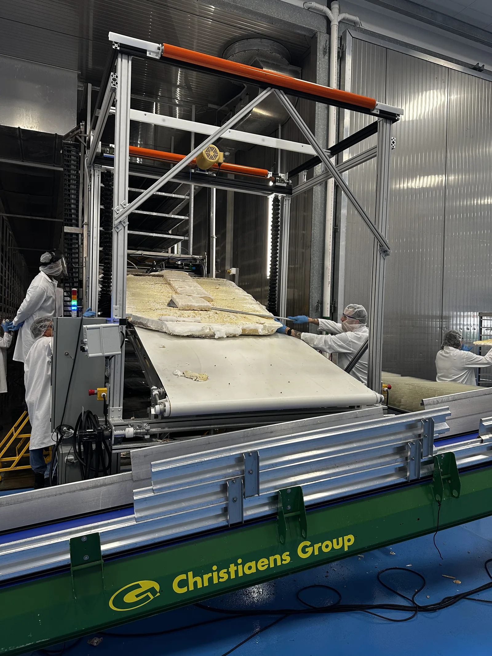 People handling a whole sheet of mycelium at a processing conveyor